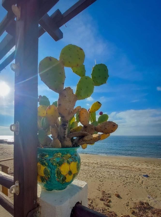 Appartamento La Coffa Agnone Cilento 외부 사진