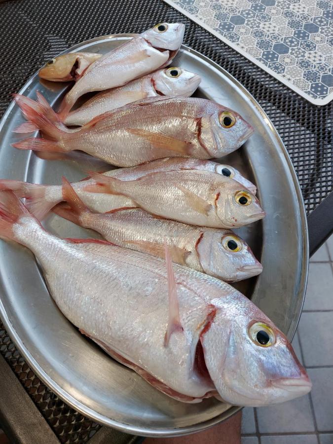 Appartamento La Coffa Agnone Cilento 외부 사진
