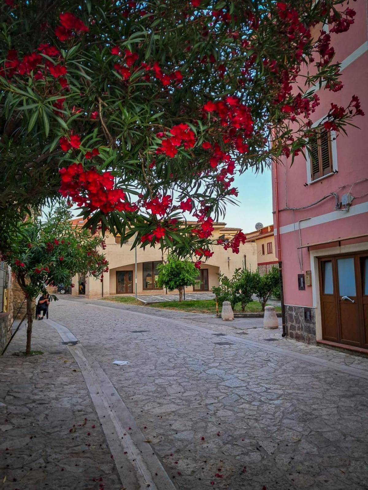 Appartamento La Coffa Agnone Cilento 외부 사진